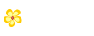 最新消息